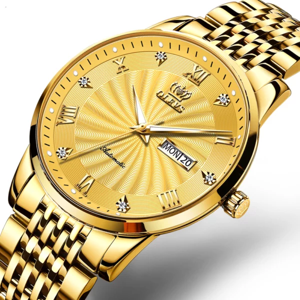 Limited Edition | OLEVS Mechanical Watch | Luxury Automatic Watch | Waterproof 1